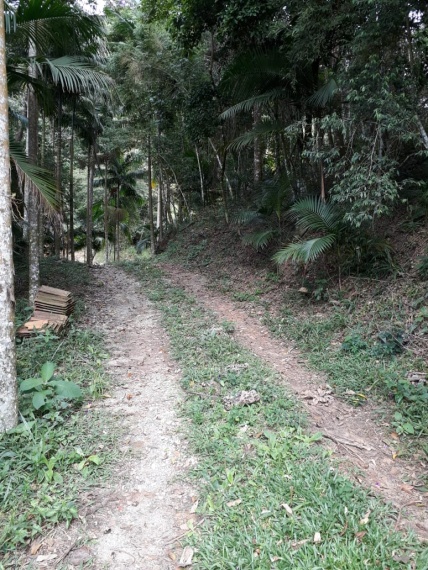 Sítio,Venda,1093