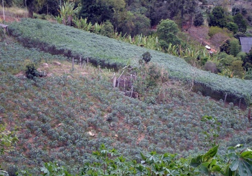 Sítio,Venda,1010