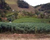 Sítio,Venda,1010