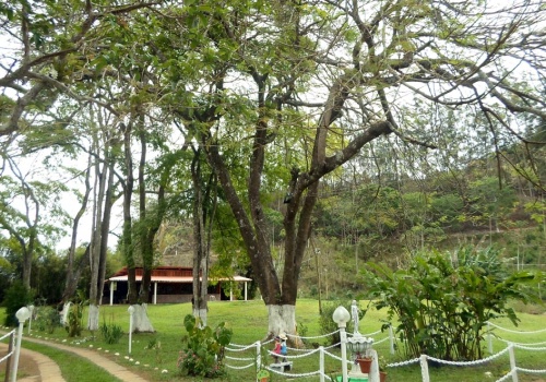 Sítio,Venda,1010
