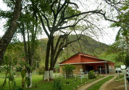 Sítio,Venda,1010