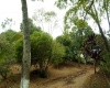 Sítio,Venda,1010