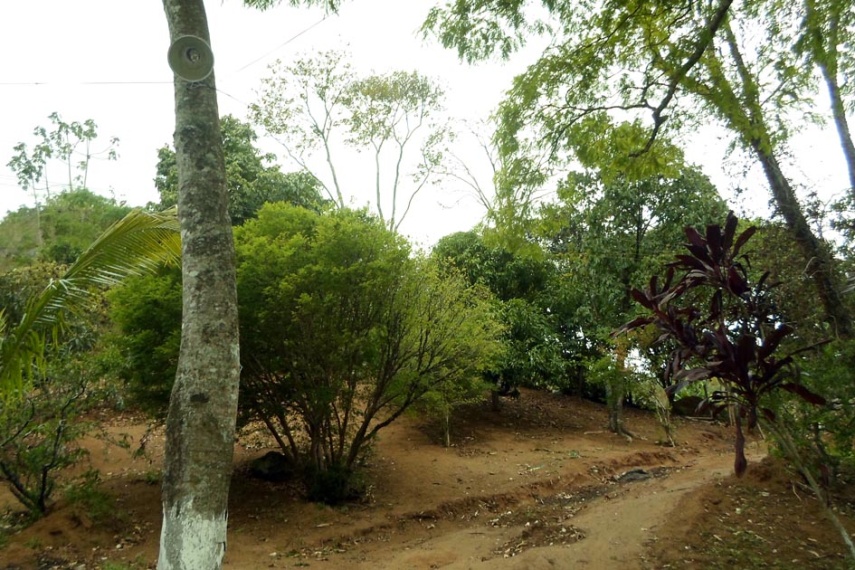 Sítio,Venda,1010