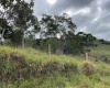 Lote,Venda,1126