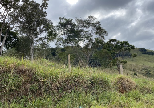 Lote,Venda,1126