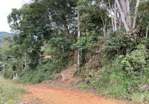 Lote,Venda,1126
