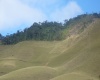 Sítio,Venda,1130