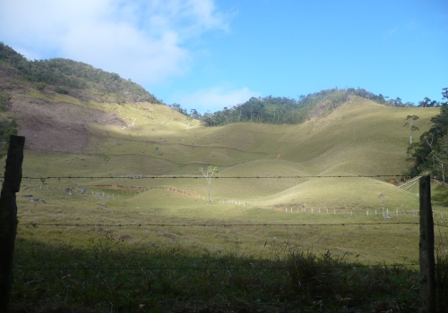 Sítio,Venda,1130