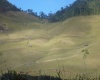 Sítio,Venda,1130