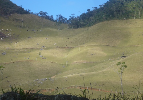Sítio,Venda,1130