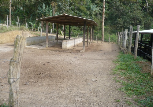 Sítio,Venda,1130