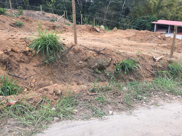 Lote,Venda,1013