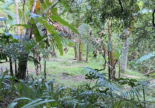Sítio,Venda,1149