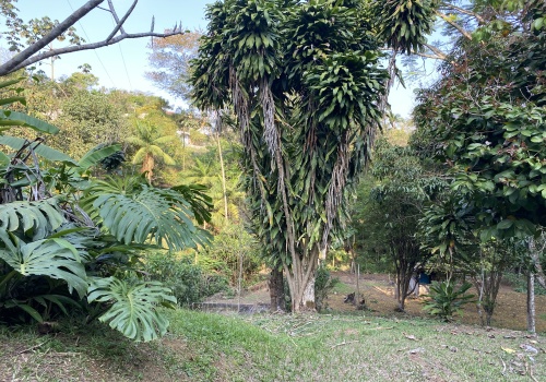 Sítio,Venda,1149