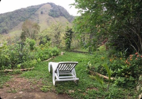 Chácaras,Venda,1151