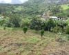 Chácaras,Venda,1154