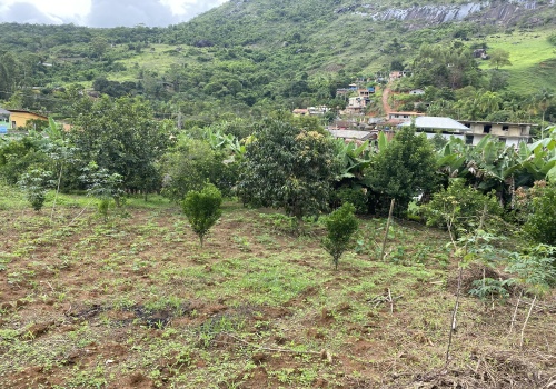 Chácaras,Venda,1154