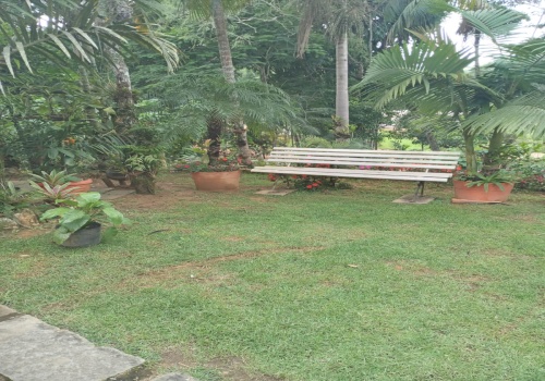 Casa,Venda,1160