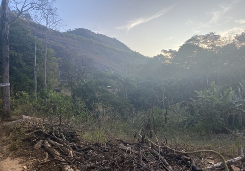 Chácaras,Venda,1161
