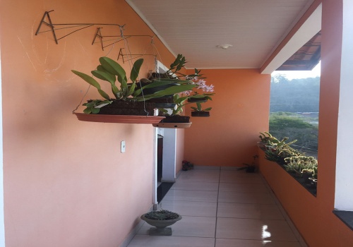 Vista Interior
