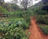 Chácaras,Venda,1059