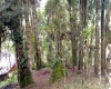 Sítio,Venda,1061