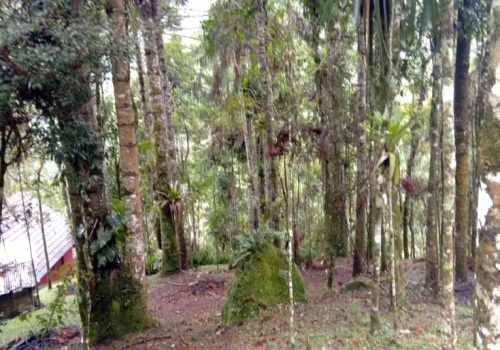 Sítio,Venda,1061