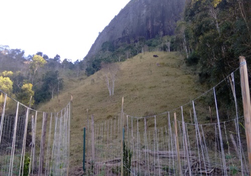 Sítio,Venda,1064