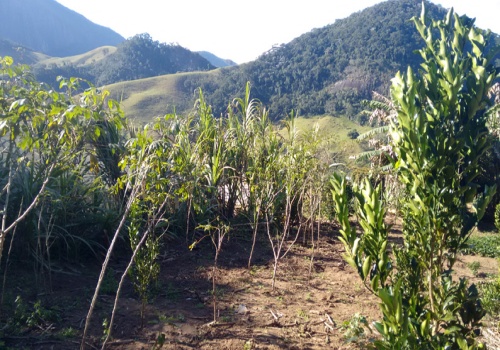 Sítio,Venda,1064
