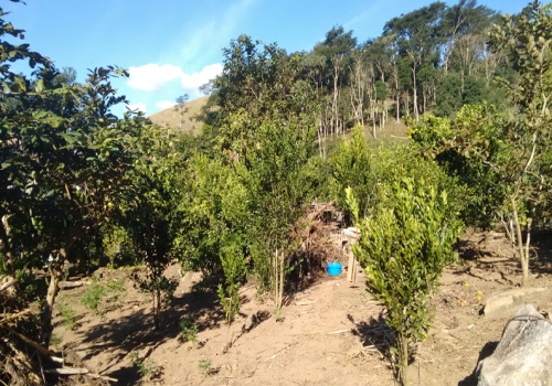 Sítio,Venda,1064