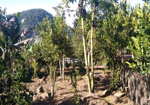 Sítio,Venda,1064