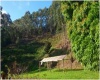 Sítio,Venda,1066