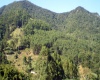 Sítio,Venda,1067