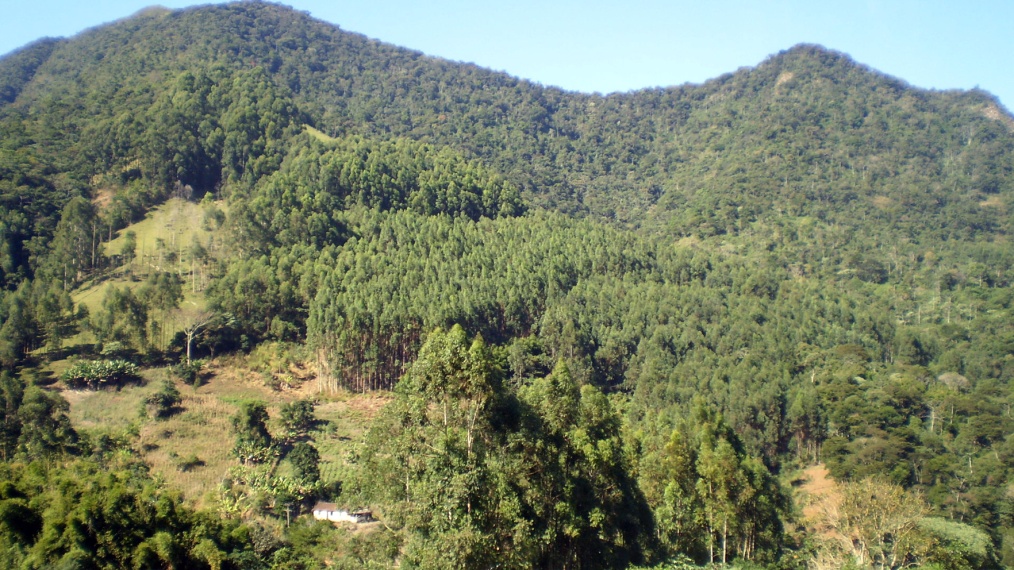 Sítio,Venda,1067
