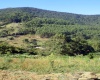 Sítio,Venda,1067