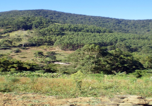 Sítio,Venda,1067