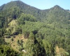 Sítio,Venda,1067