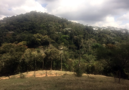 Sítio,Venda,1068