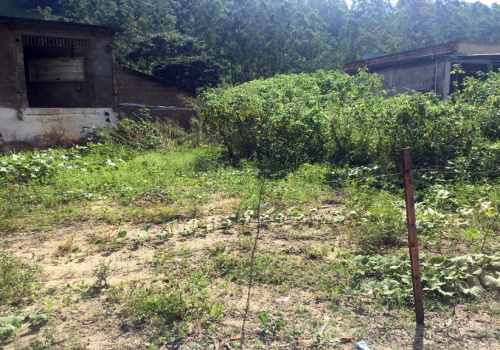 Lote,Venda,1079