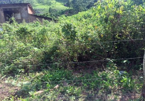 Lote,Venda,1079