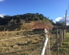 Lote,Venda,1081
